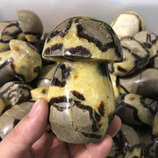 Natural Septarium Stones  Mushroom