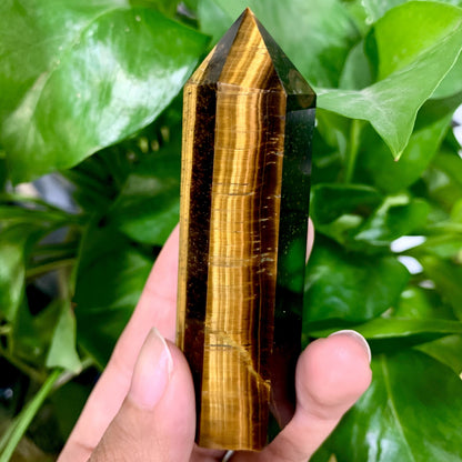 Tiger Eye's Point